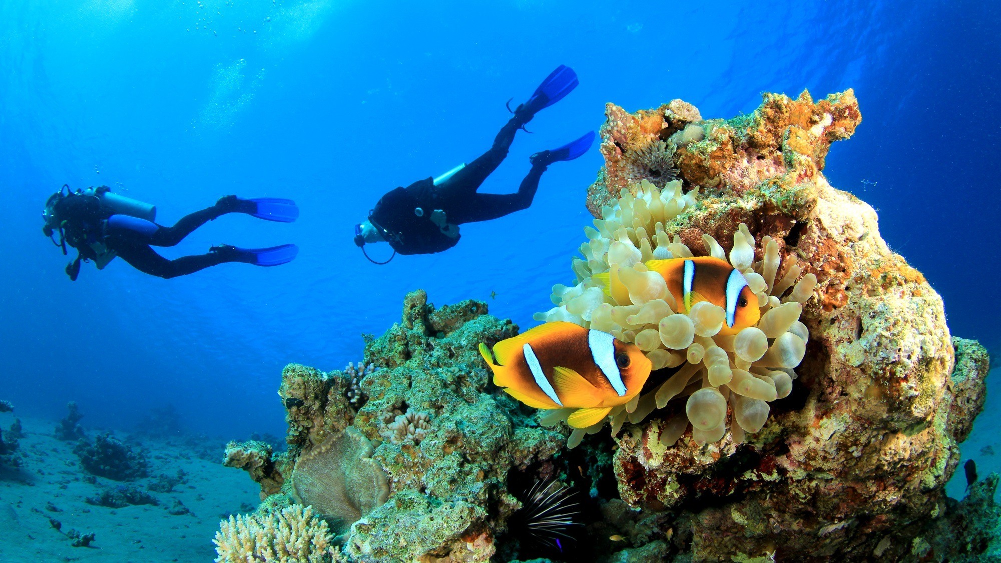 Diving on Curacao