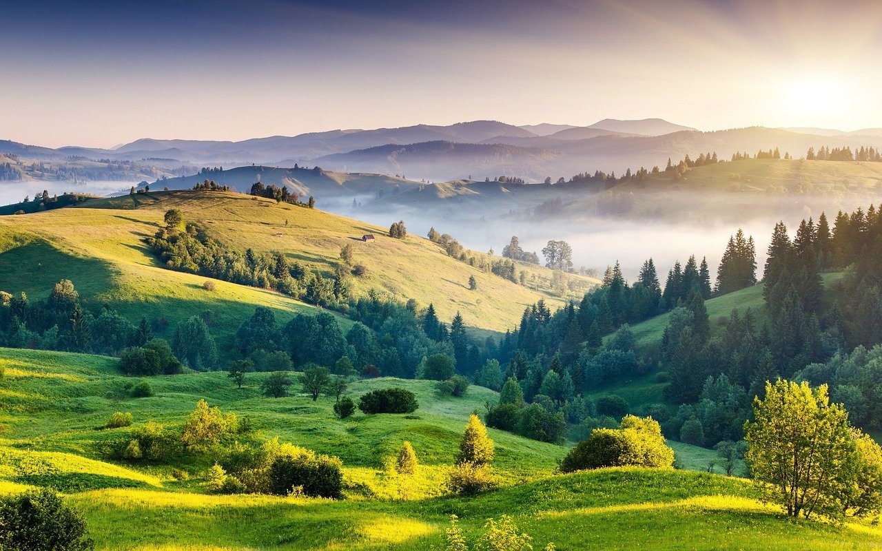 India, view forest and hills