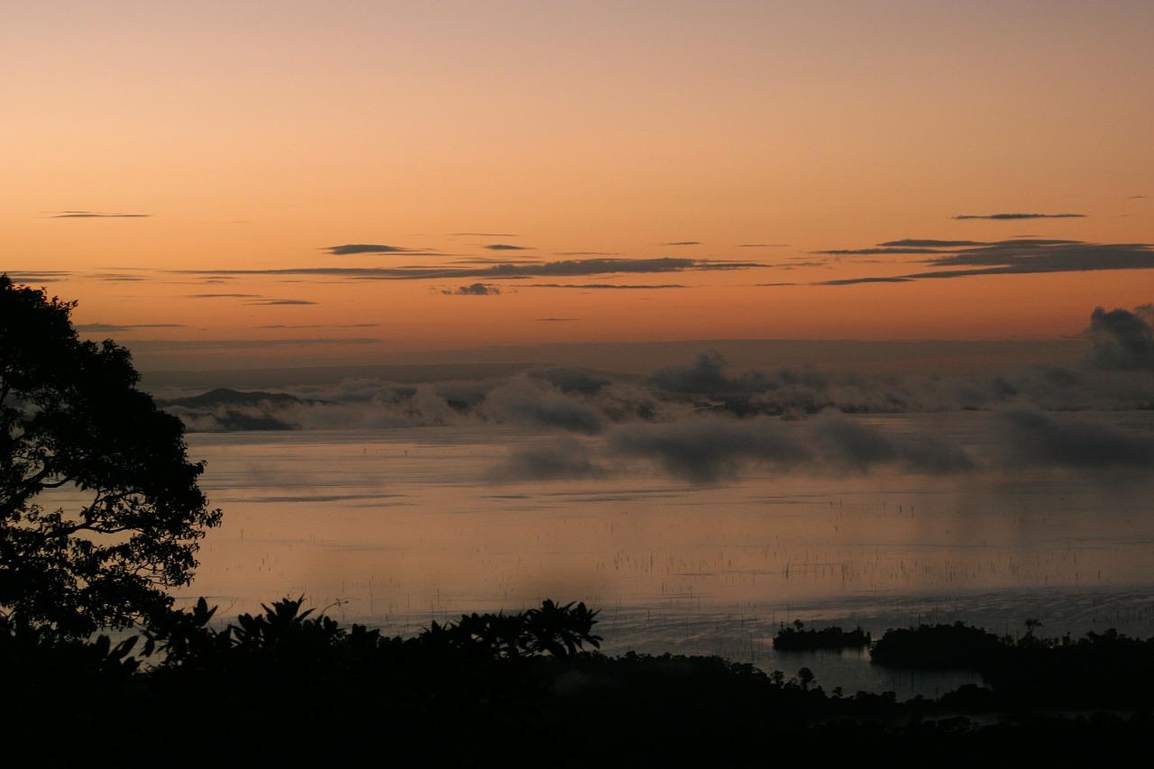 View Suriname jungle